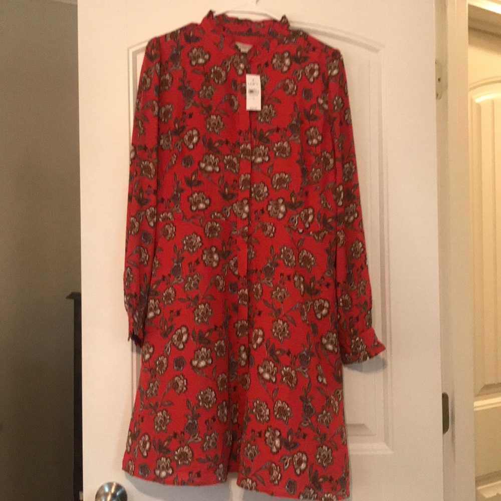 Brand new loft dress never warn.